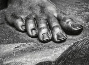 Read more about the article [Q 535] Recommended Toenail Cutting Sequence